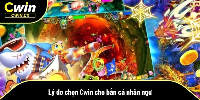 Vì sao nhiều người chọn Cwin?