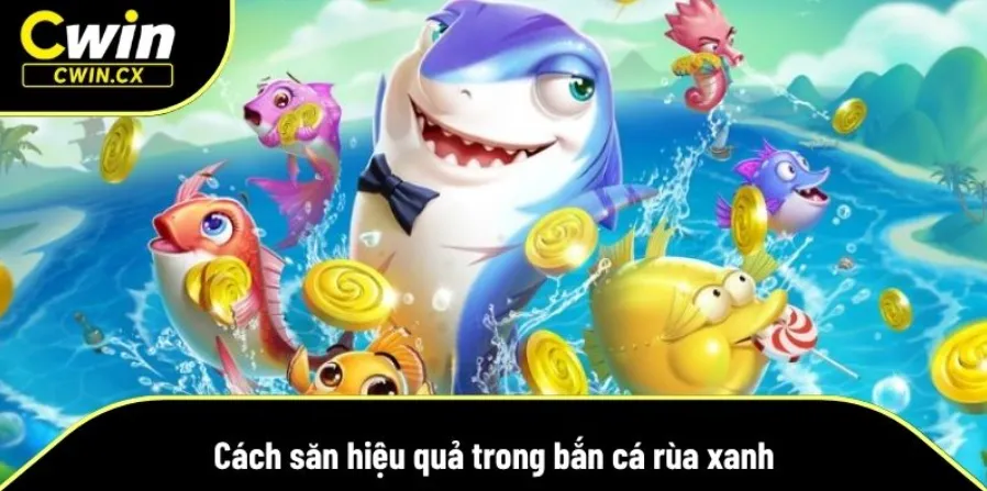 Rùa xanh – mục tiêu lợi nhuận cao cần chiến thuật hợp lý khi săn