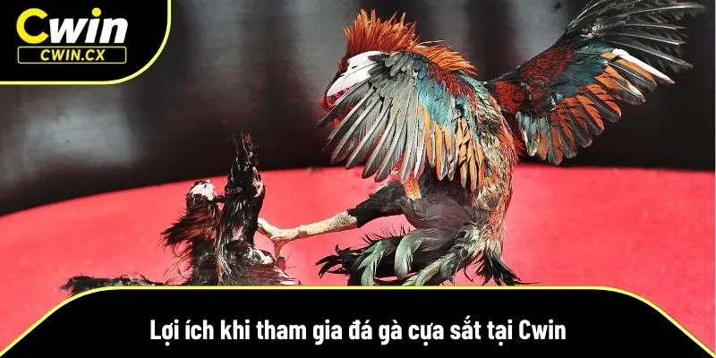 Khách hàng sẽ có nhiều lợi ích khi tham gia Cwin
