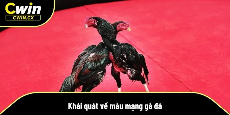 Tìm hiểu nhanh về màu mạng gà đá