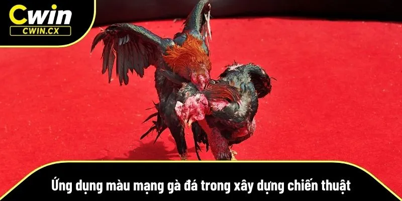 Sự phối hợp trong chiến thuật thi đấu
