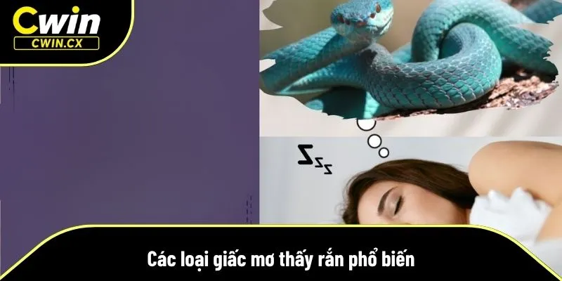 Nhà cái Cwin giới thiệu các trường hợp mơ thấy rắn phổ biến