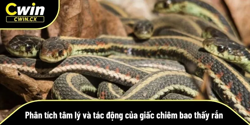 Mơ rắn liên kết với trạng thái tâm lý và sự chuẩn bị đối mặt thử thách