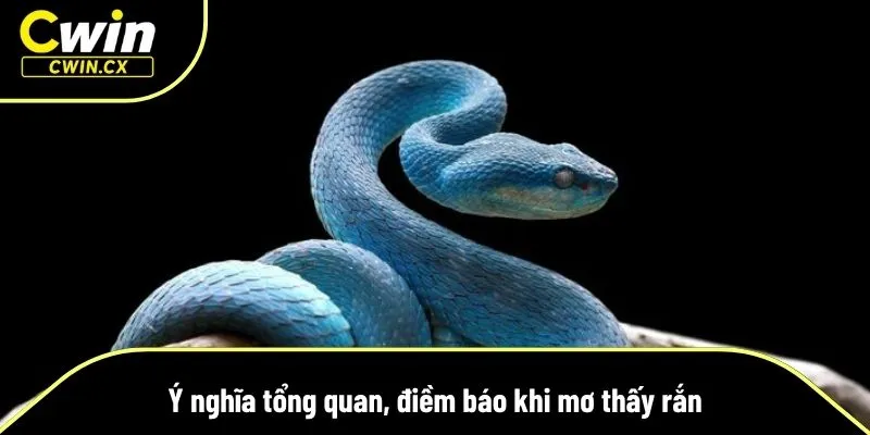 Chiêm bao rắn mang nhiều tầng ý nghĩa