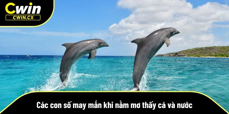 Một số mẹo giúp bạn chọn số lấy may cực chuẩn