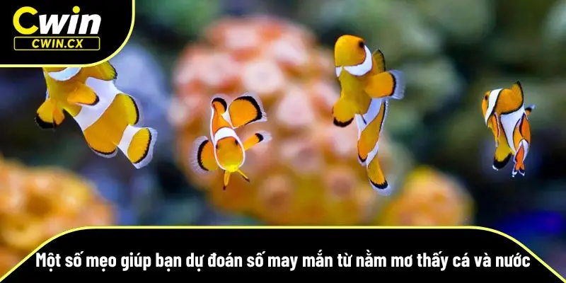 Nằm mơ thấy cá và nước còn gắn liền với những con số tài lộc